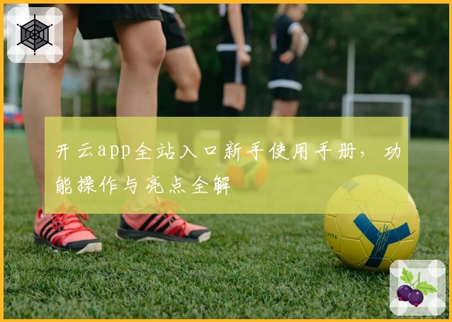 开云app全站入口新手使用手册，功能操作与亮点全解