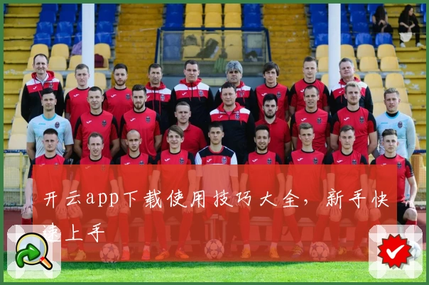 开云app下载使用技巧大全，新手快速上手