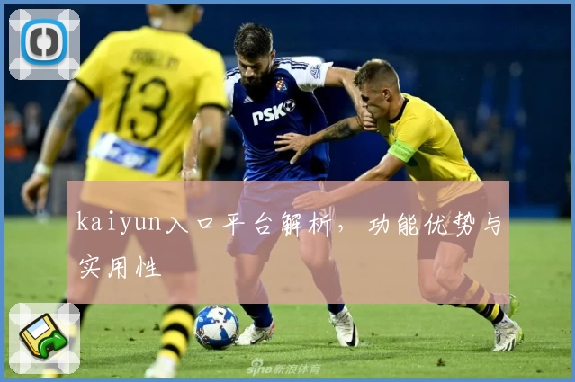 kaiyun入口平台解析，功能优势与实用性