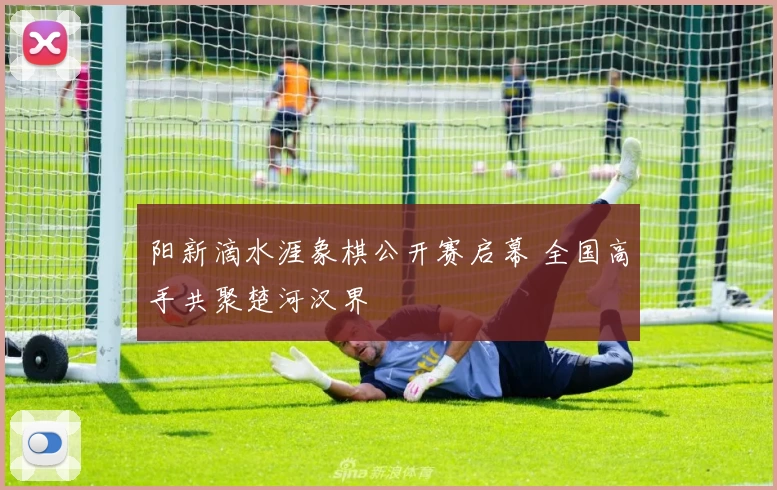 阳新滴水涯象棋公开赛启幕 全国高手共聚楚河汉界