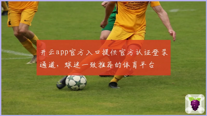 开云app官方入口提供官方认证登录通道，球迷一致推荐的体育平台