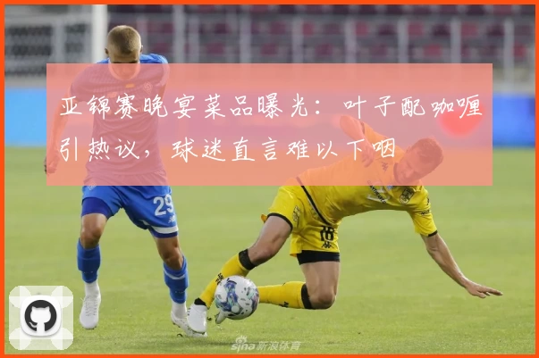 亚锦赛晚宴菜品曝光：叶子配咖喱引热议，球迷直言难以下咽