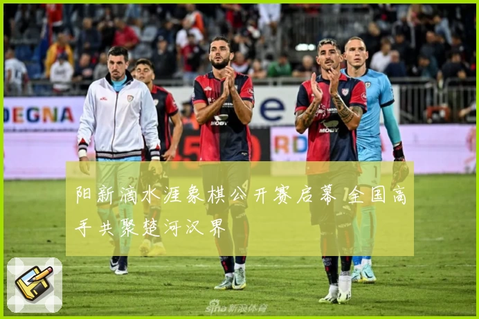 阳新滴水涯象棋公开赛启幕 全国高手共聚楚河汉界